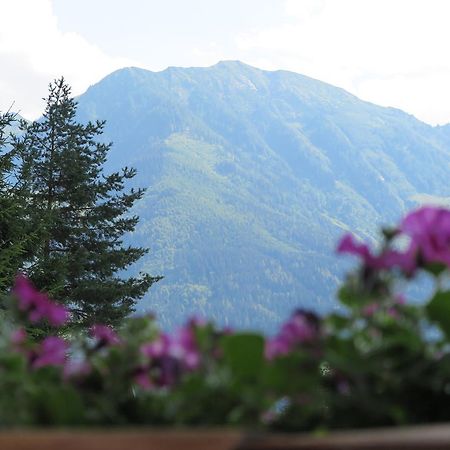 Haus Enzian Apartamento Sankt Johann im Pongau Exterior foto