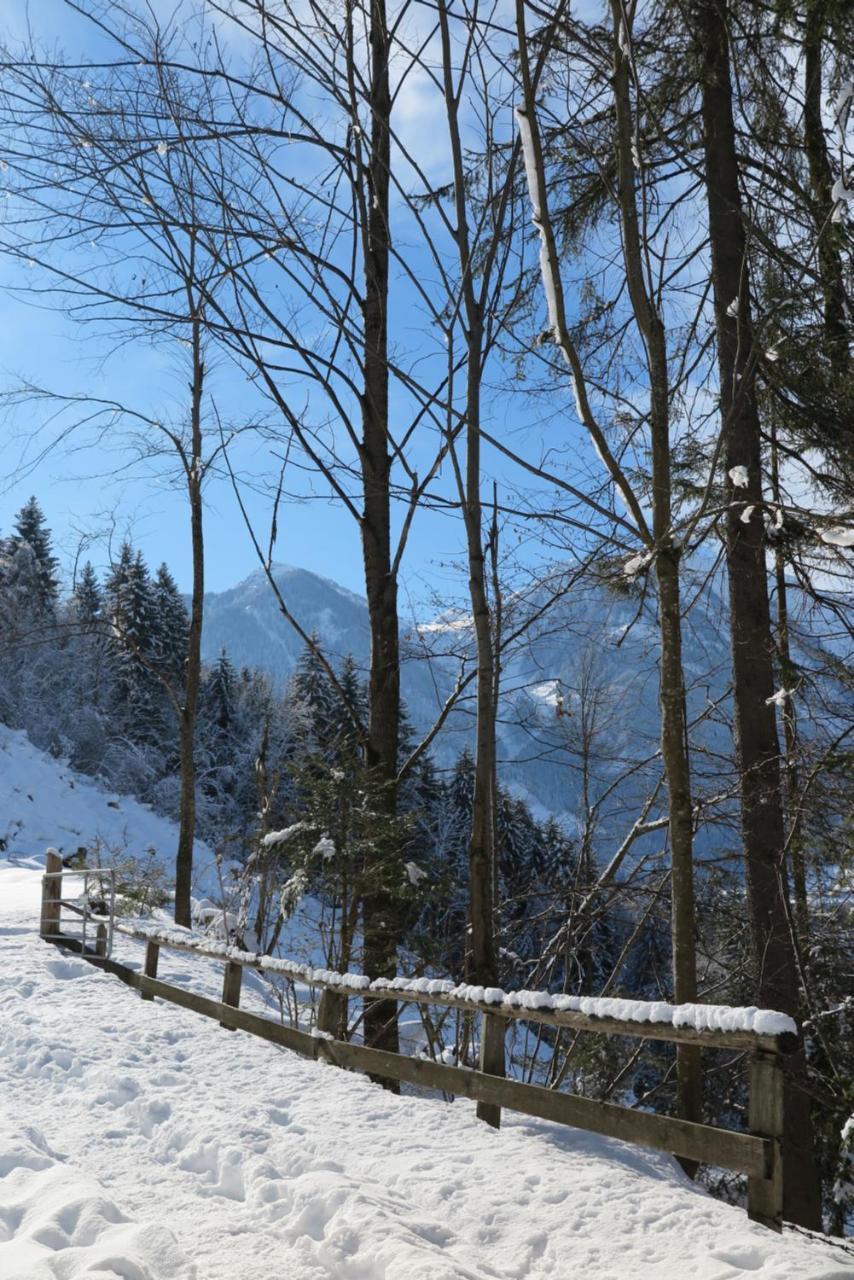 Haus Enzian Apartamento Sankt Johann im Pongau Exterior foto