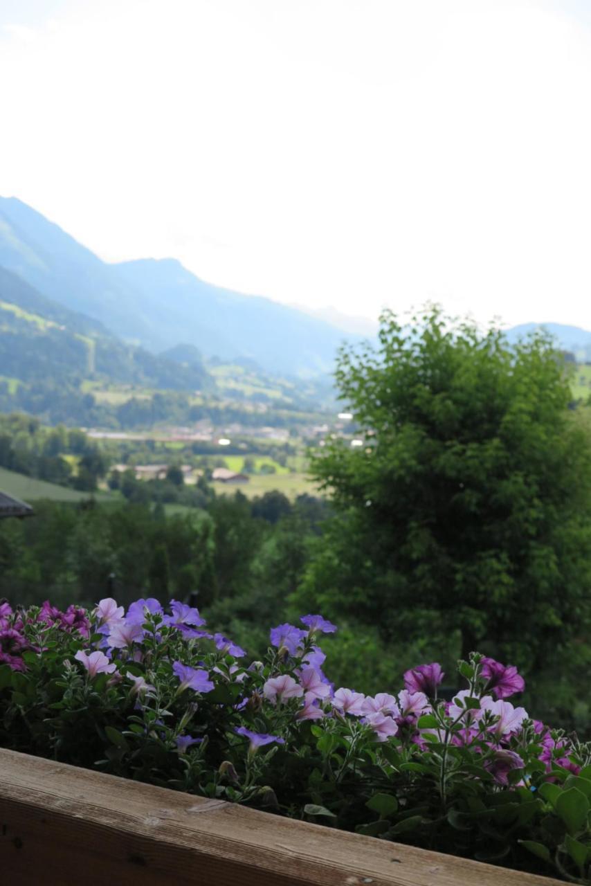 Haus Enzian Apartamento Sankt Johann im Pongau Exterior foto